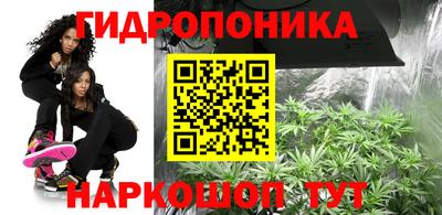 первитин Заводоуковск
