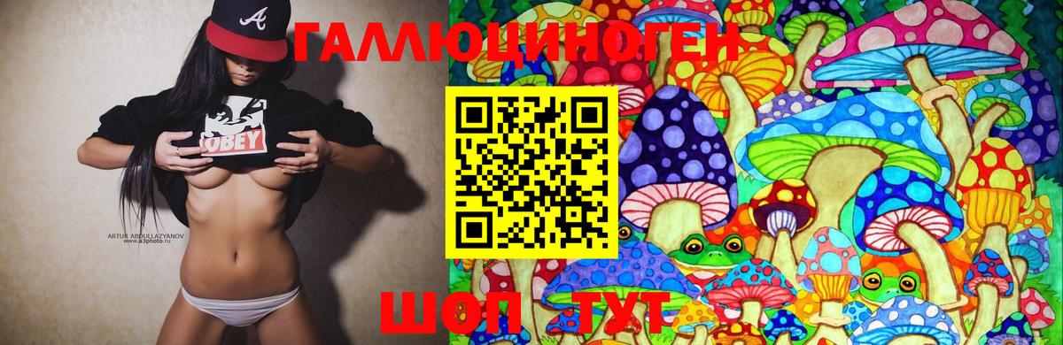 где продают наркотики  Вход с VPN  Долгопрудный  Псилоцибиновые грибы мухоморы 