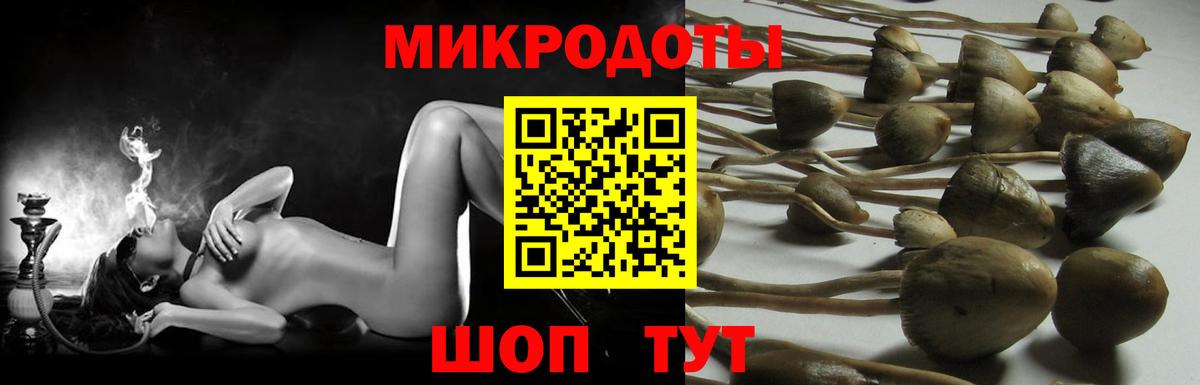 Псилоцибиновые грибы мухоморы Долгопрудный